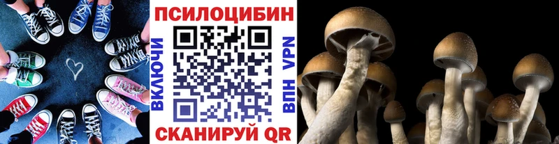 Псилоцибиновые грибы Cubensis  дарнет шоп  Новый Оскол 